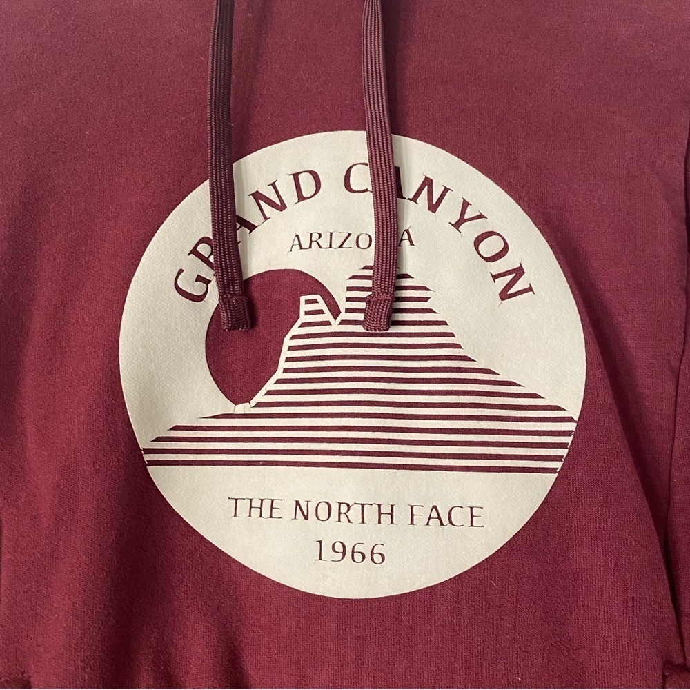 The North Face Grand Canyon Hoodie - Picture 4 of 6
